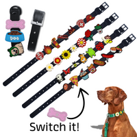 Collier pour chien Taille L en silicone ultra résistant et souple, Collier personnalisable, noir, avec 7 trous pour charms en silicone