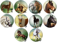 Cabochons en verre Animaux cheval-Réf CAB286